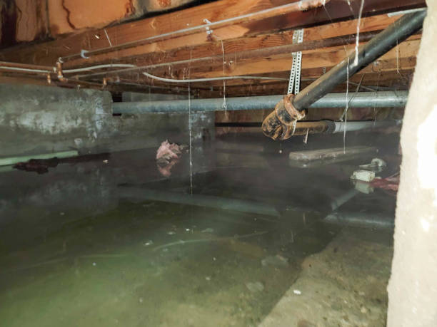 Professional Water damage restoration in Highland Park, TX