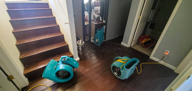 Best Water damage restoration cost  in Highland Park, TX