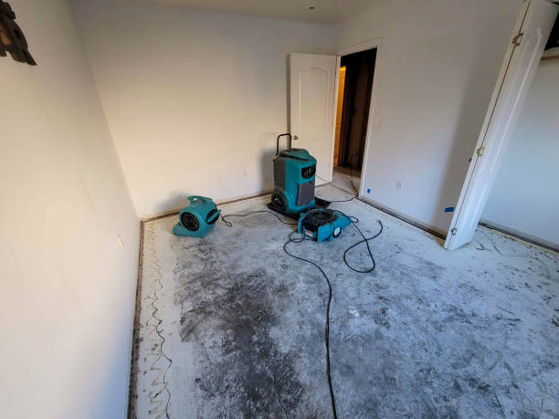Best Water damage cleanup near me  in Highland Park, TX