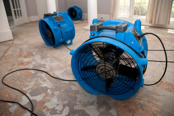 Best Flooded house restoration  in Highland Park, TX