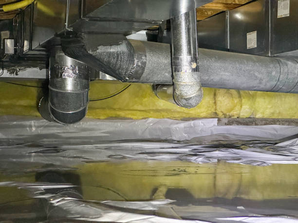 Best Flood damage cleanup  in Highland Park, TX