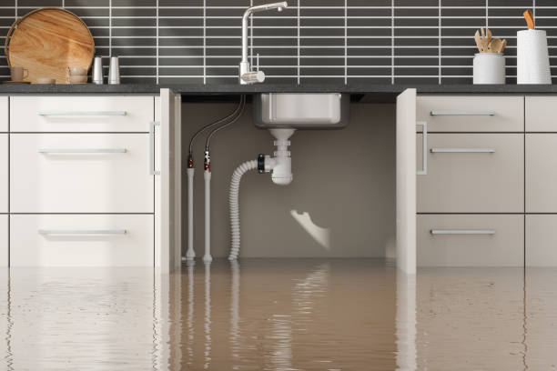 Best Mold removal after water damage  in Highland Park, TX