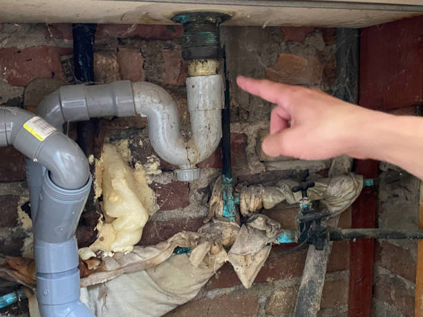 Best Water damage contractors near me  in Highland Park, TX