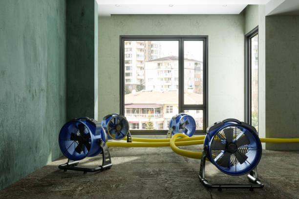 Best Commercial water damage restoration  in Highland Park, TX